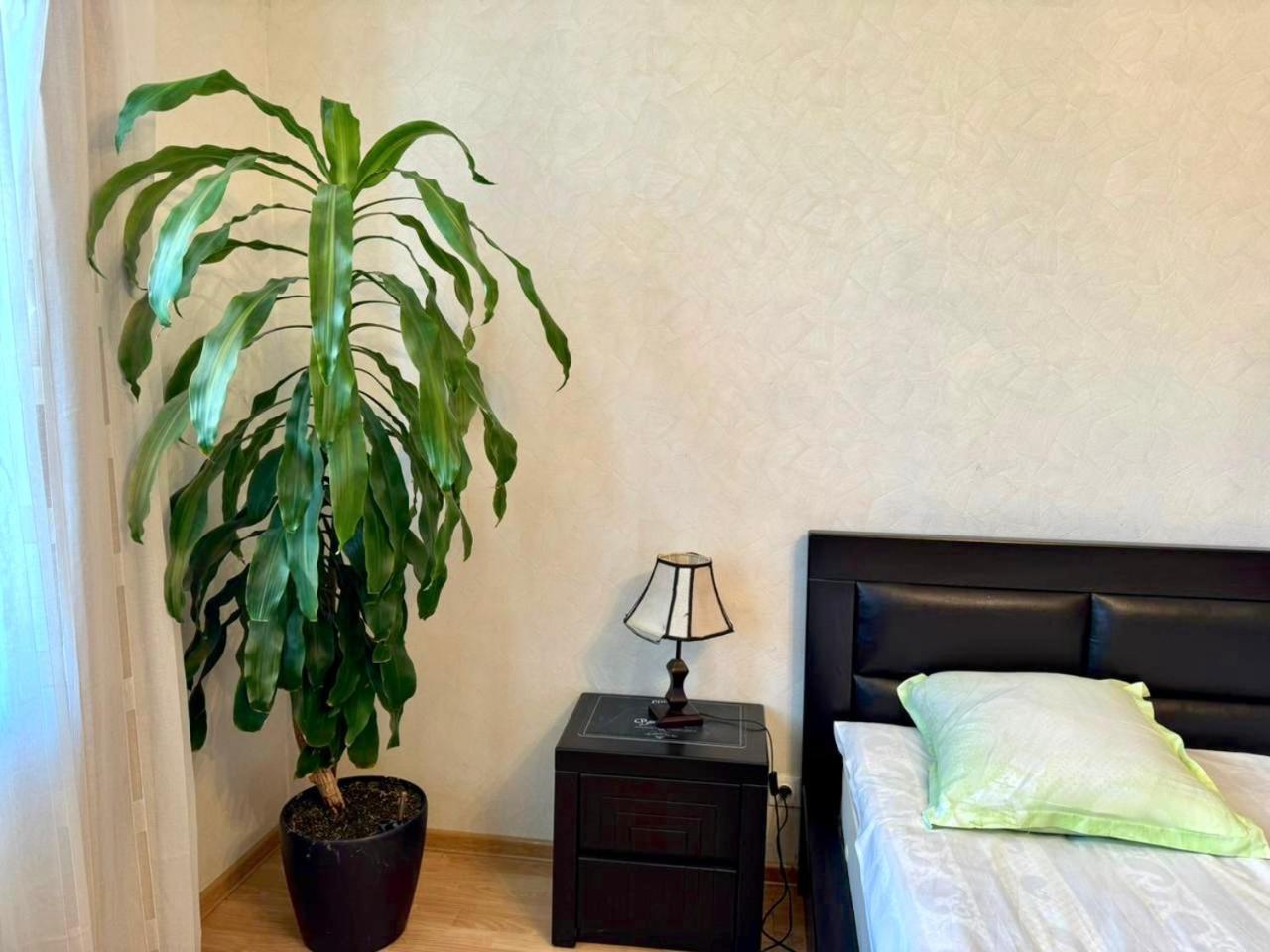 Home Inn-Guesthouse Лагодехи Экстерьер фото